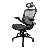 Office Chair Ergonomic Desk Chair,Komene High Back Adjustable...