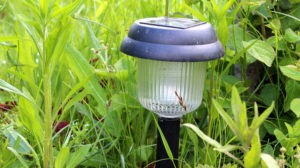 How to Clean Solar Lights