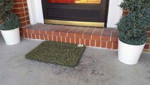 GrassWorx Clean Machine Daisy Doormat