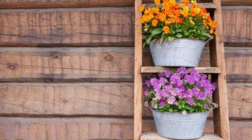 Ladder Shelf decoration