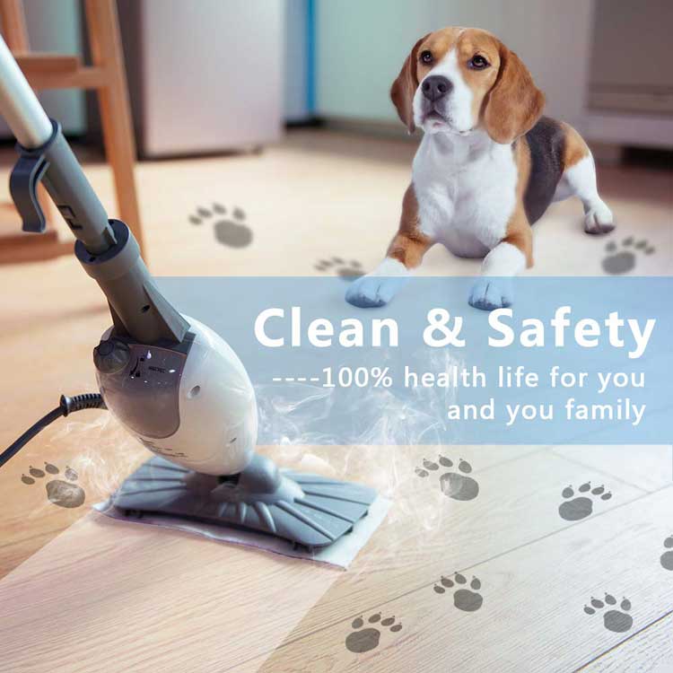 light 'n' easy steam mop LIGHT 'N' EASY Floor Steamer