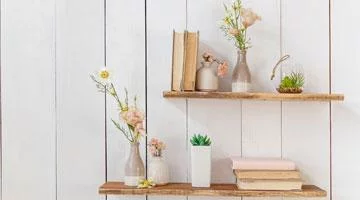 Best Wood for Shelves