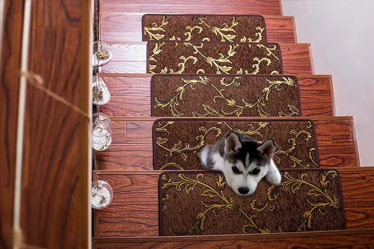 Seloom Non Slip Stair Treads Carpet Set