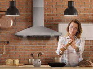 Wall mount range hood