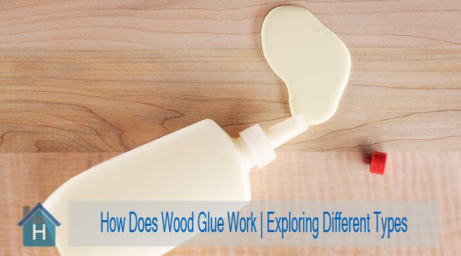 How Does Wood Glue Work