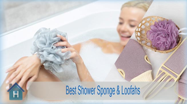 Best Shower Sponge & Loofahs | Top 10 Skin Exfoliating Bath Sponges 4