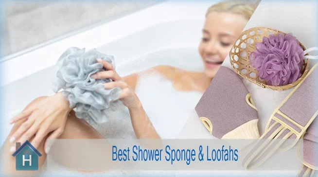 Best Shower Sponge & Loofahs | Top 10 Bath Sponges 1
