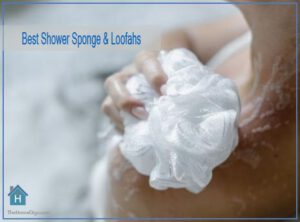 Best Shower Sponge & Loofahs