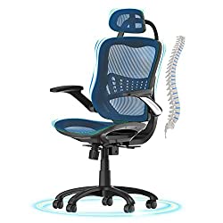 Top Rated best ergonomic home office chair for back pain