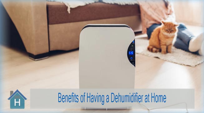 What Are The Benefits of Using a Dehumidifier