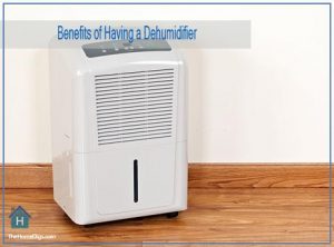 Benefits of Using a Dehumidifier-THD-Intro
