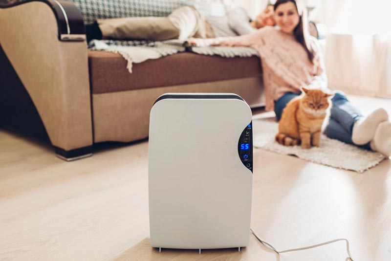 The-Benefits-of-Having-a-Dehumidifier The-Benefits-of-Having-a-Dehumidifier