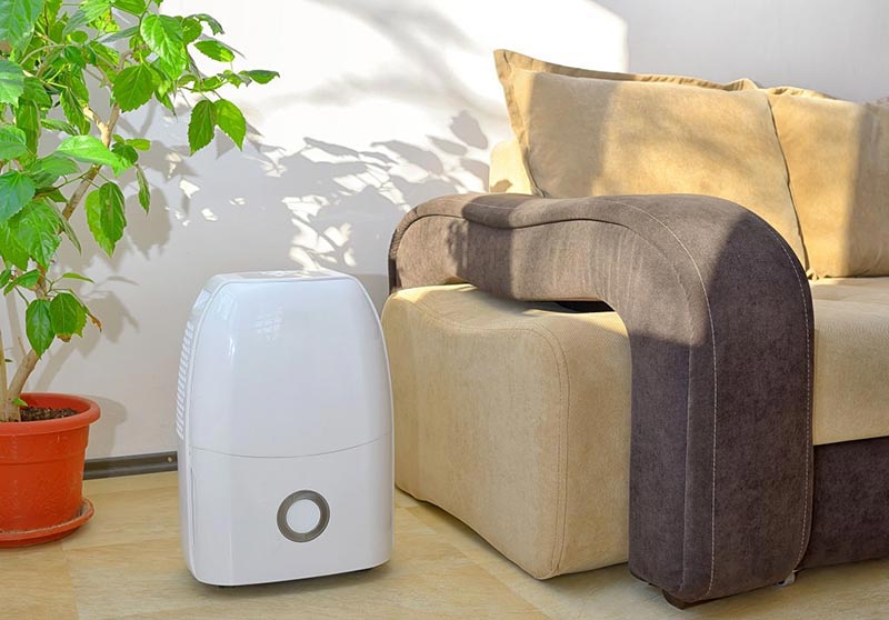 What-are-The-Benefits-of-Having-a-Dehumidifier