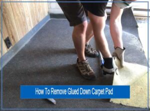 How To Remove Glued Down Carpet Pad From Concrete