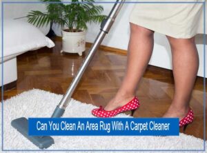 Can-You-Clean-An-Area-Rug-With-A-Carpet-Cleaner