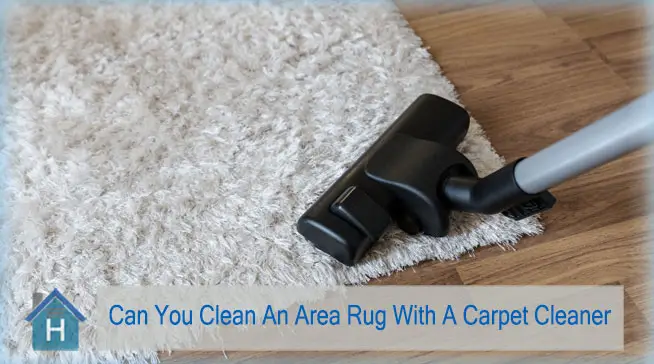 Cleaning Area Rugs With A Carpet Cleaner