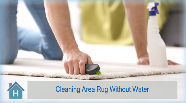 Cleaning-Area-Rug-Without-Water