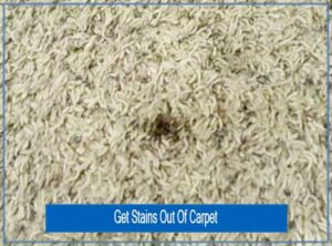 Get Stains Out Of Carpet